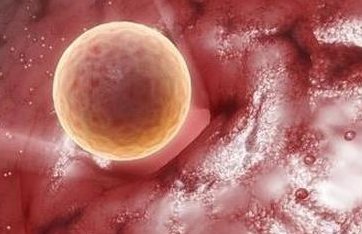 喝奶茶的危害会不孕不育（喝奶茶的危害会不孕不育吗）